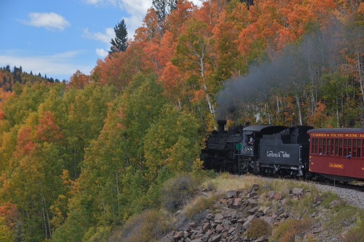 train through autumn colors